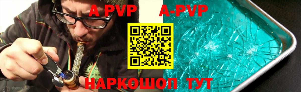 Alfa_PVP СК КРИС Волгоград