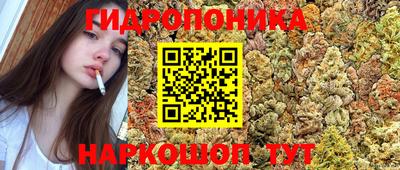 мдма Моздок
