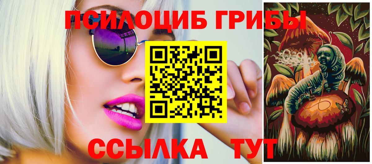 Волгоград  Галлюциногенные грибы Psilocybe  Псилоцибиновые грибы мухоморы  Вход с VPN 